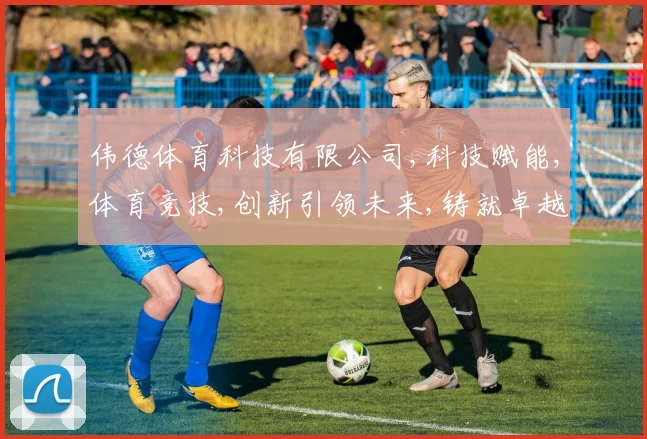 伟德体育科技有限公司,科技赋能,体育竞技,创新引领未来,铸就卓越品牌