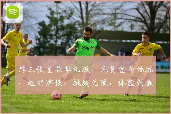 炸三张金花单机版，免费金币畅玩，经典牌技，挑战无限，体验刺激逗乐