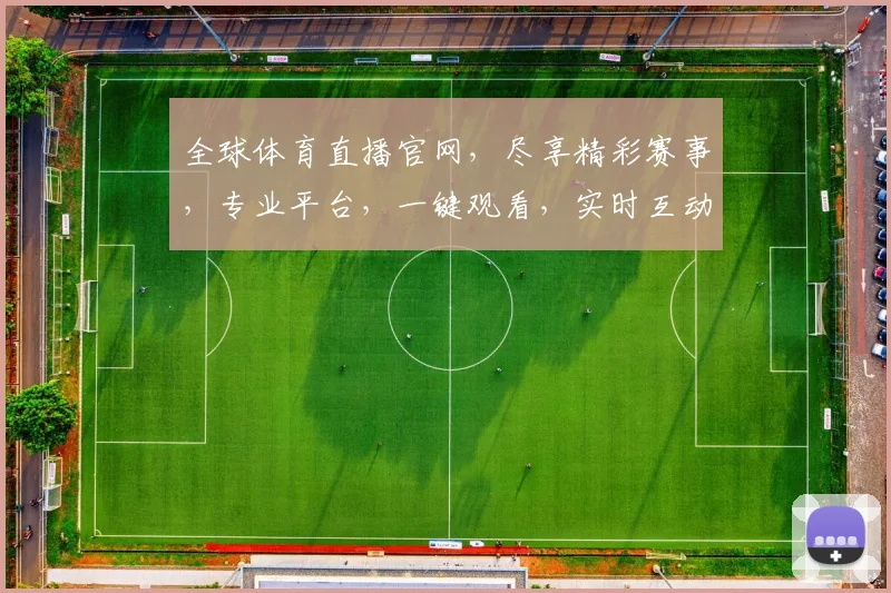 全球体育直播官网，尽享精彩赛事，专业平台，一键观看，实时互动，体验非凡