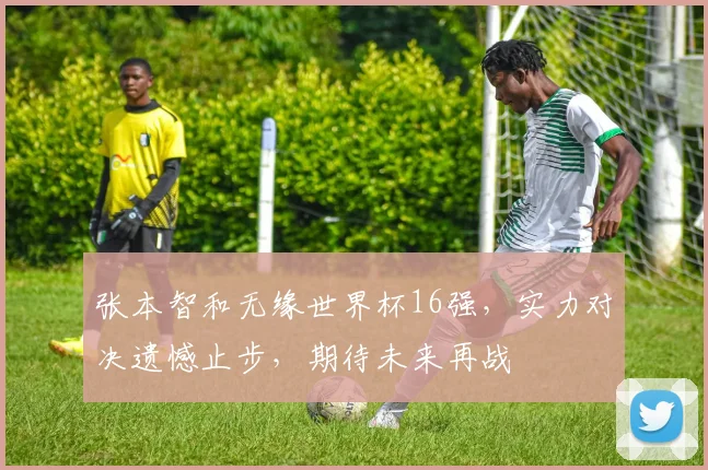 张本智和无缘世界杯16强，实力对决遗憾止步，期待未来再战